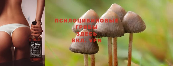 хмурый Вязники